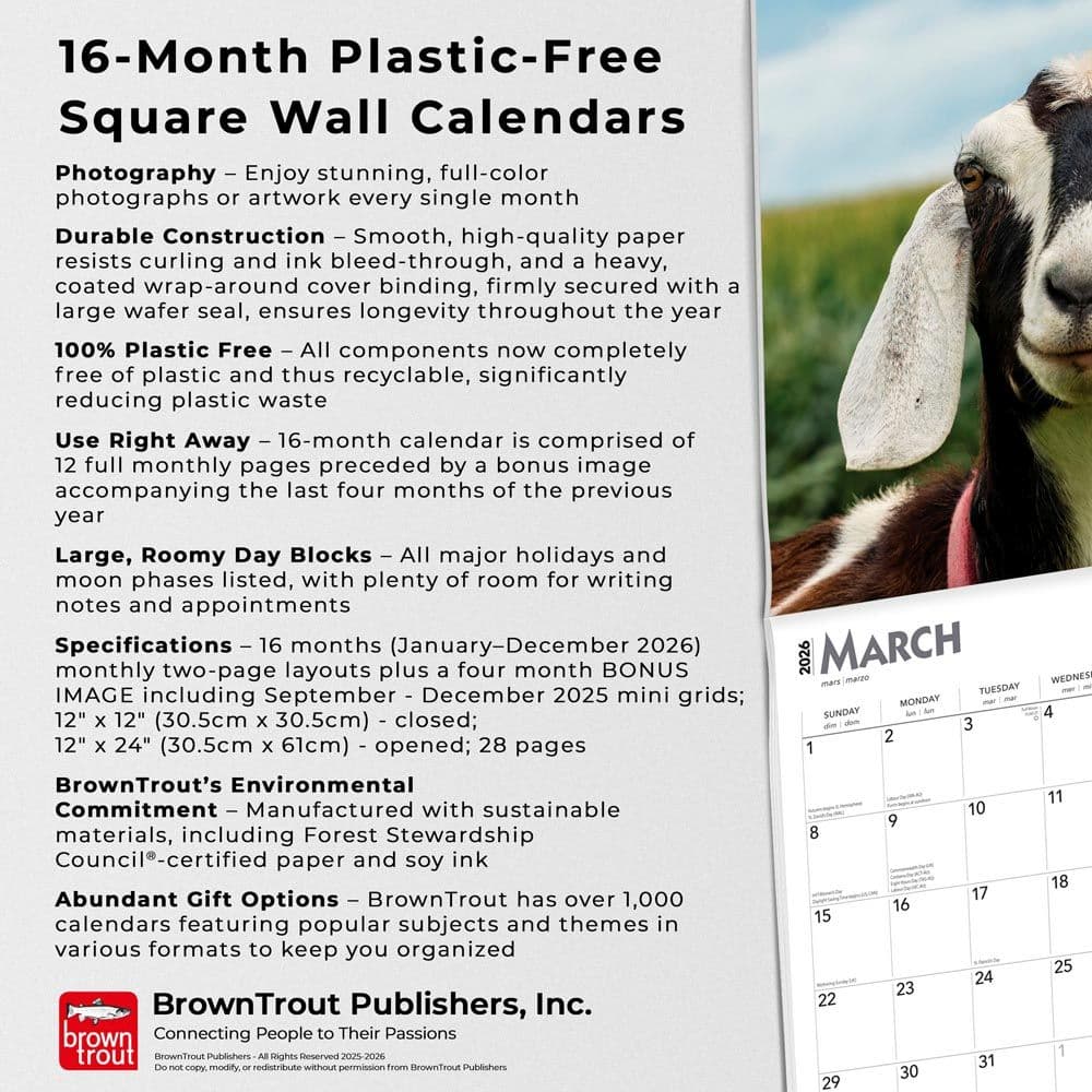  Fifth Alternate Image