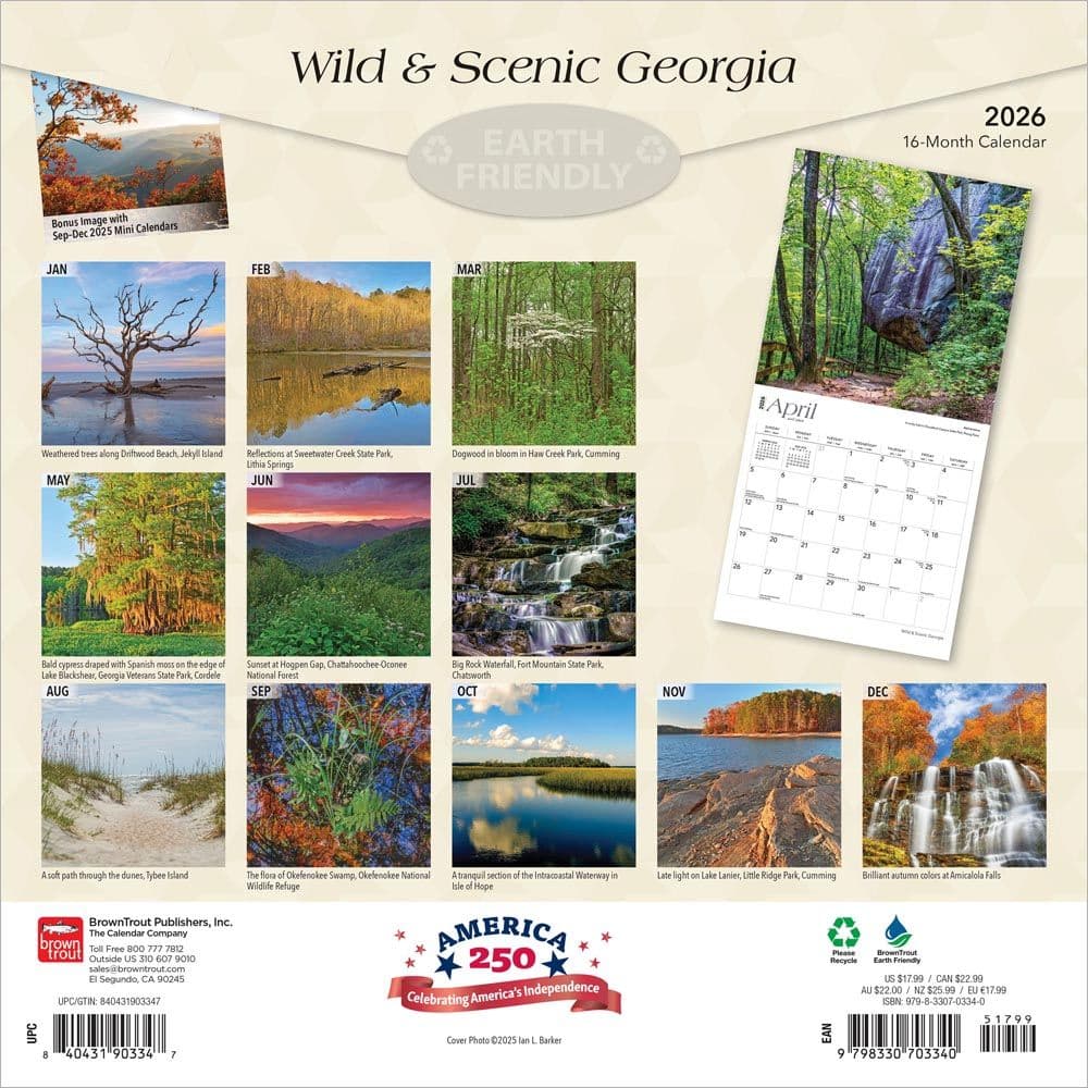  First Alternate Image