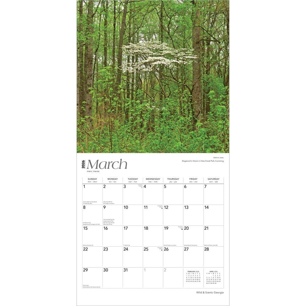  Second Alternate Image