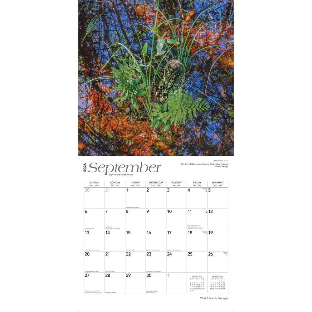  Third Alternate Image