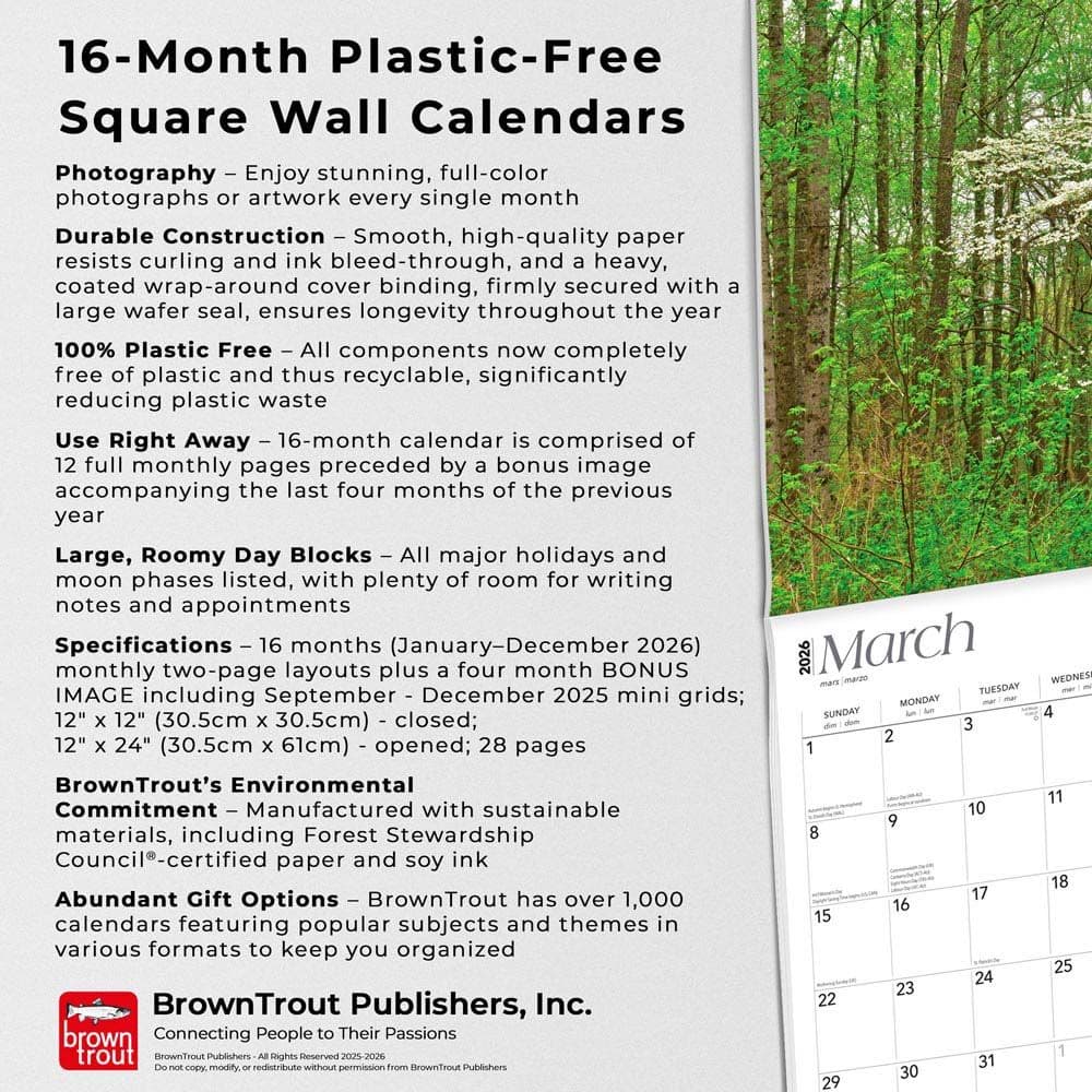  Fifth Alternate Image