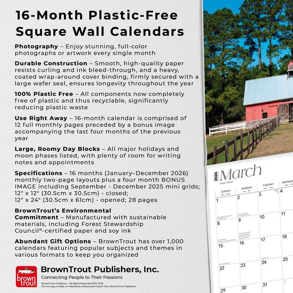  Fifth Alternate Image