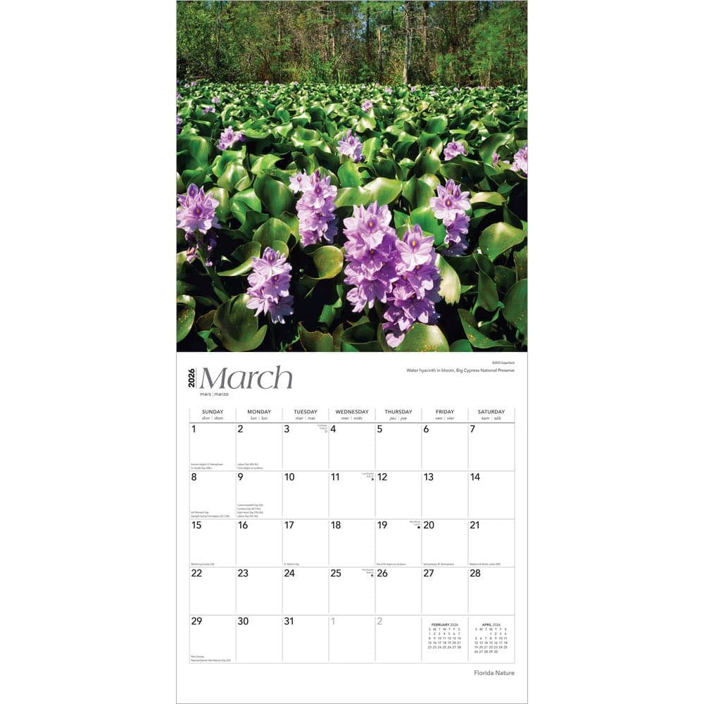  Second Alternate Image