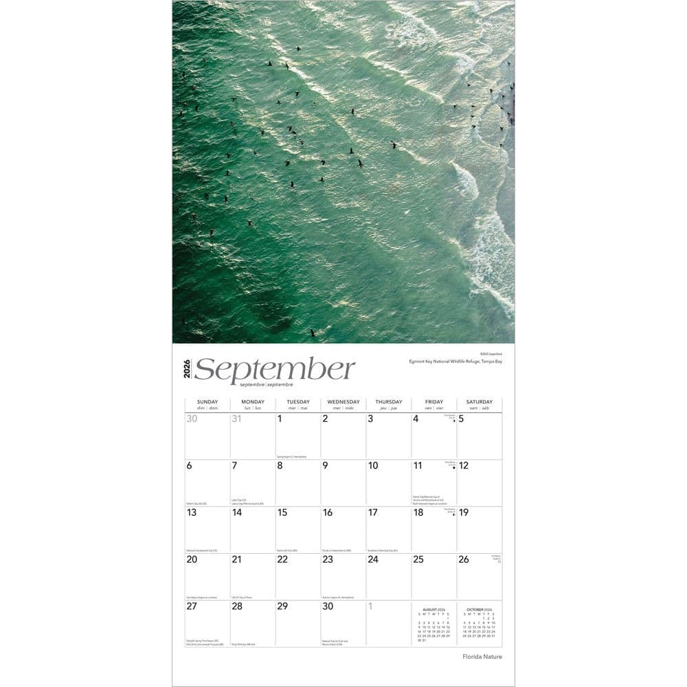  Third Alternate Image