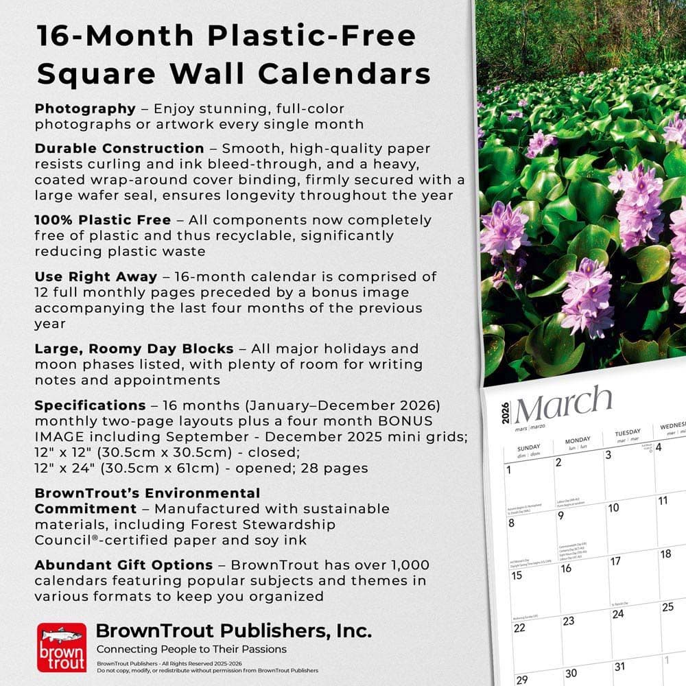  Fifth Alternate Image