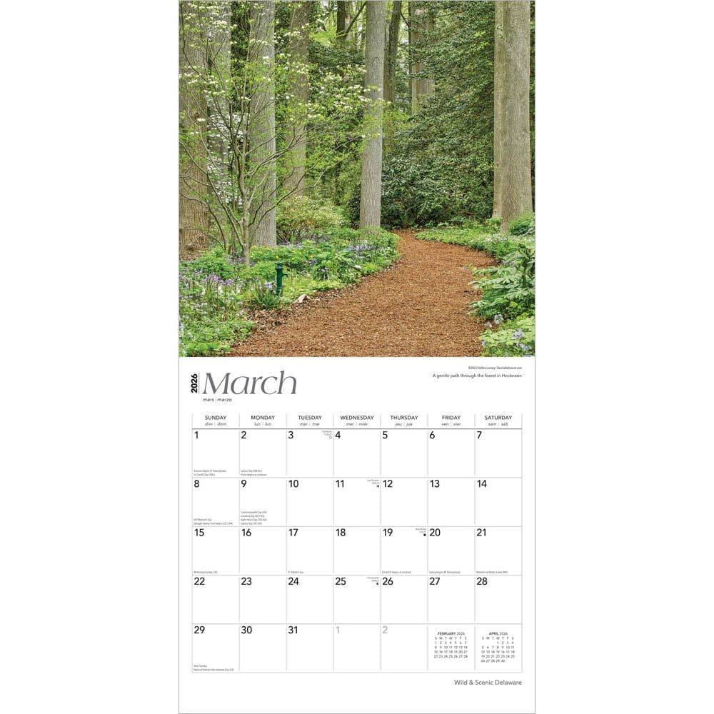  Second Alternate Image