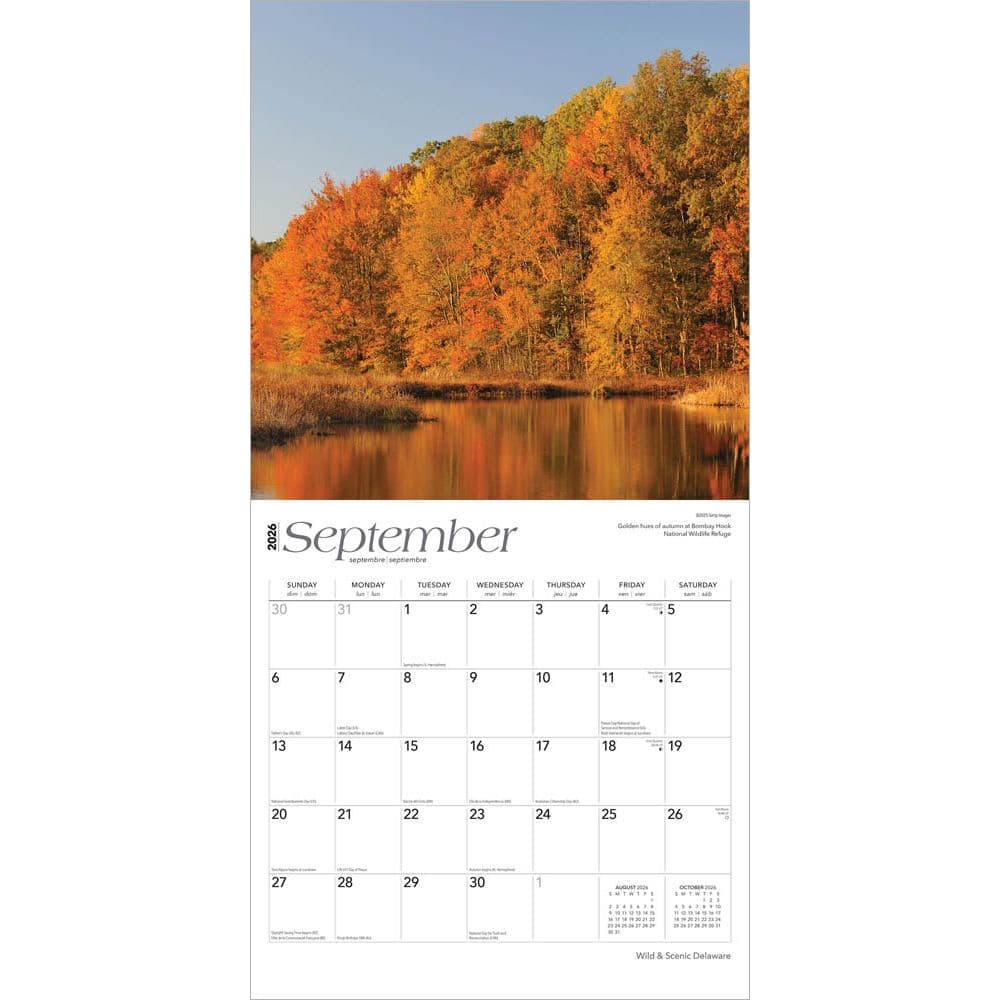  Third Alternate Image