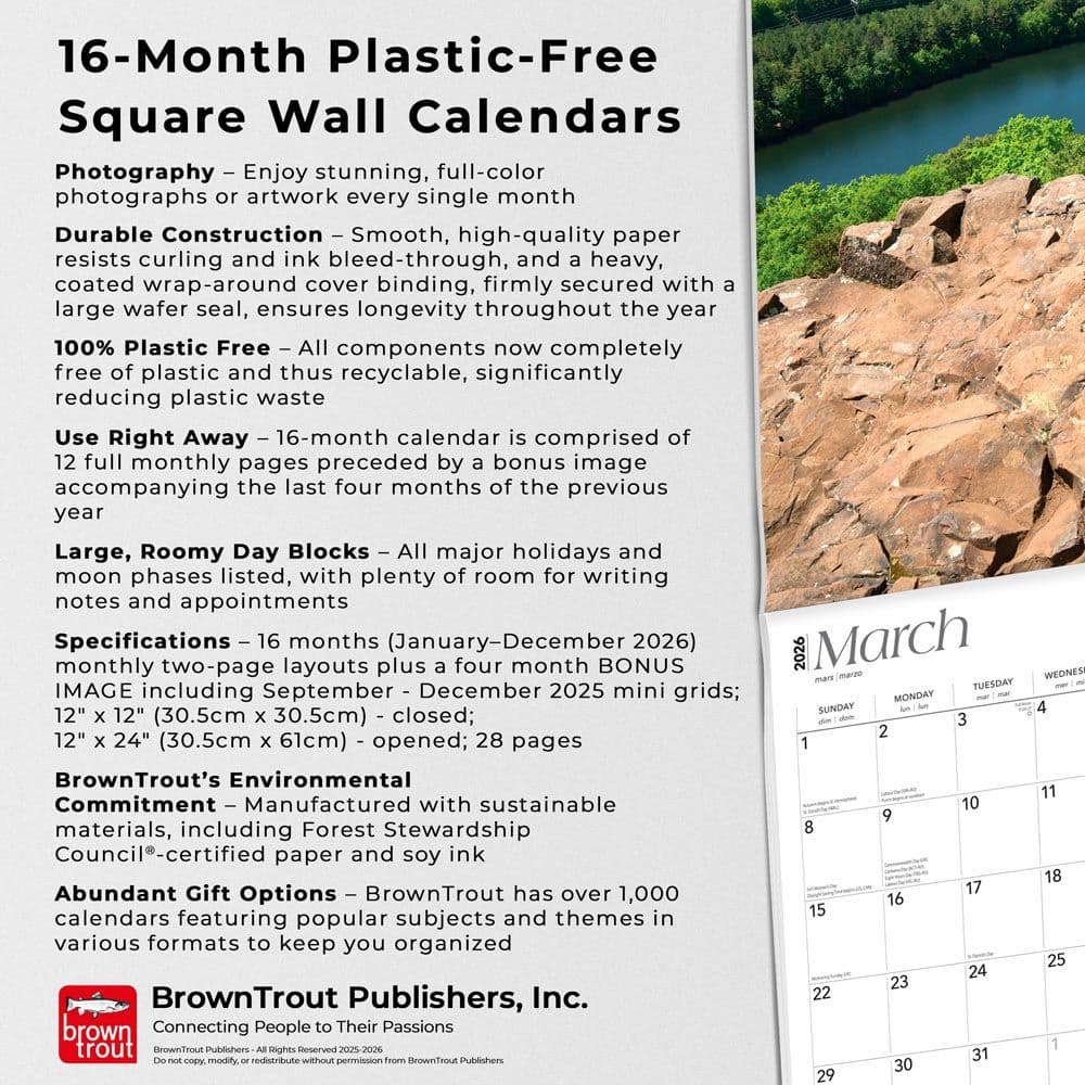  Fifth Alternate Image