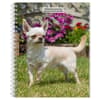 image  Main Product Image