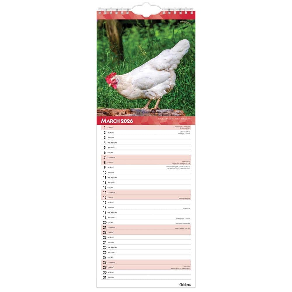  Second Alternate Image