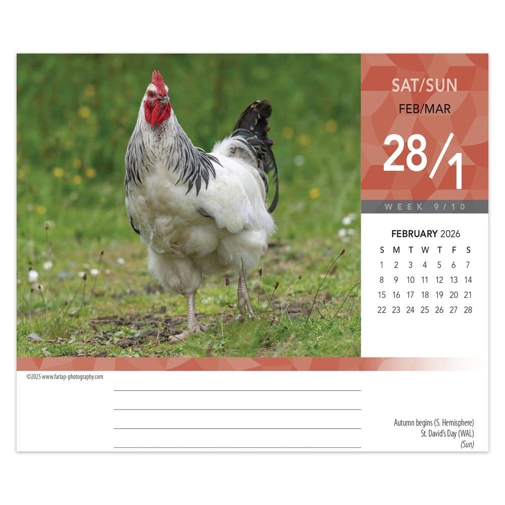  Second Alternate Image