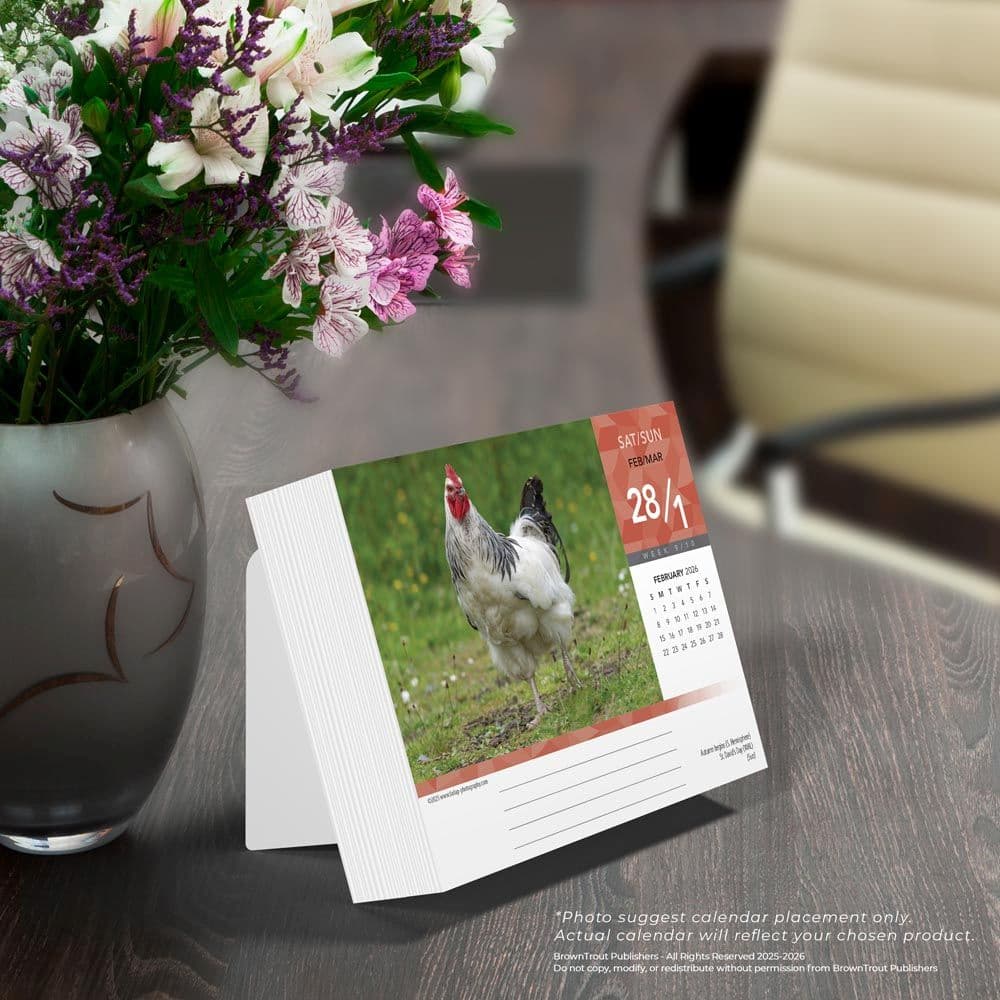  Third Alternate Image