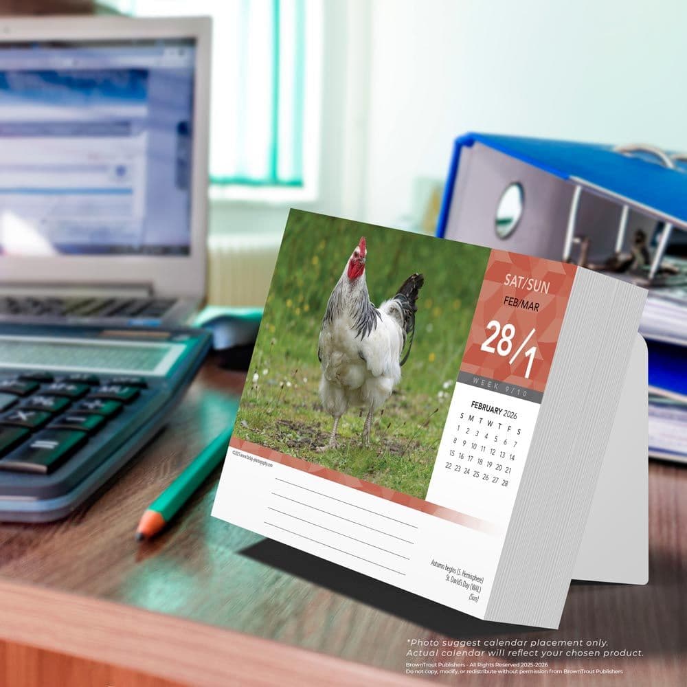  Eighth Alternate Image