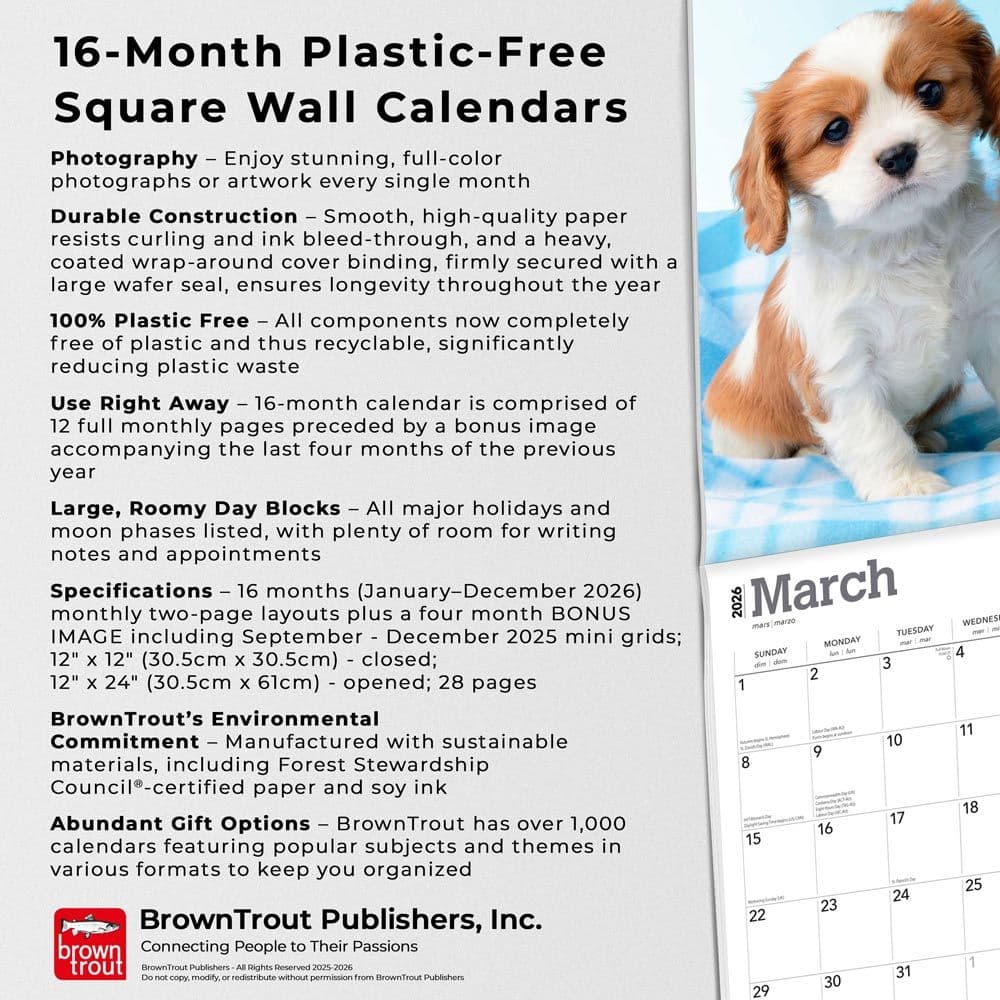  Fifth Alternate Image