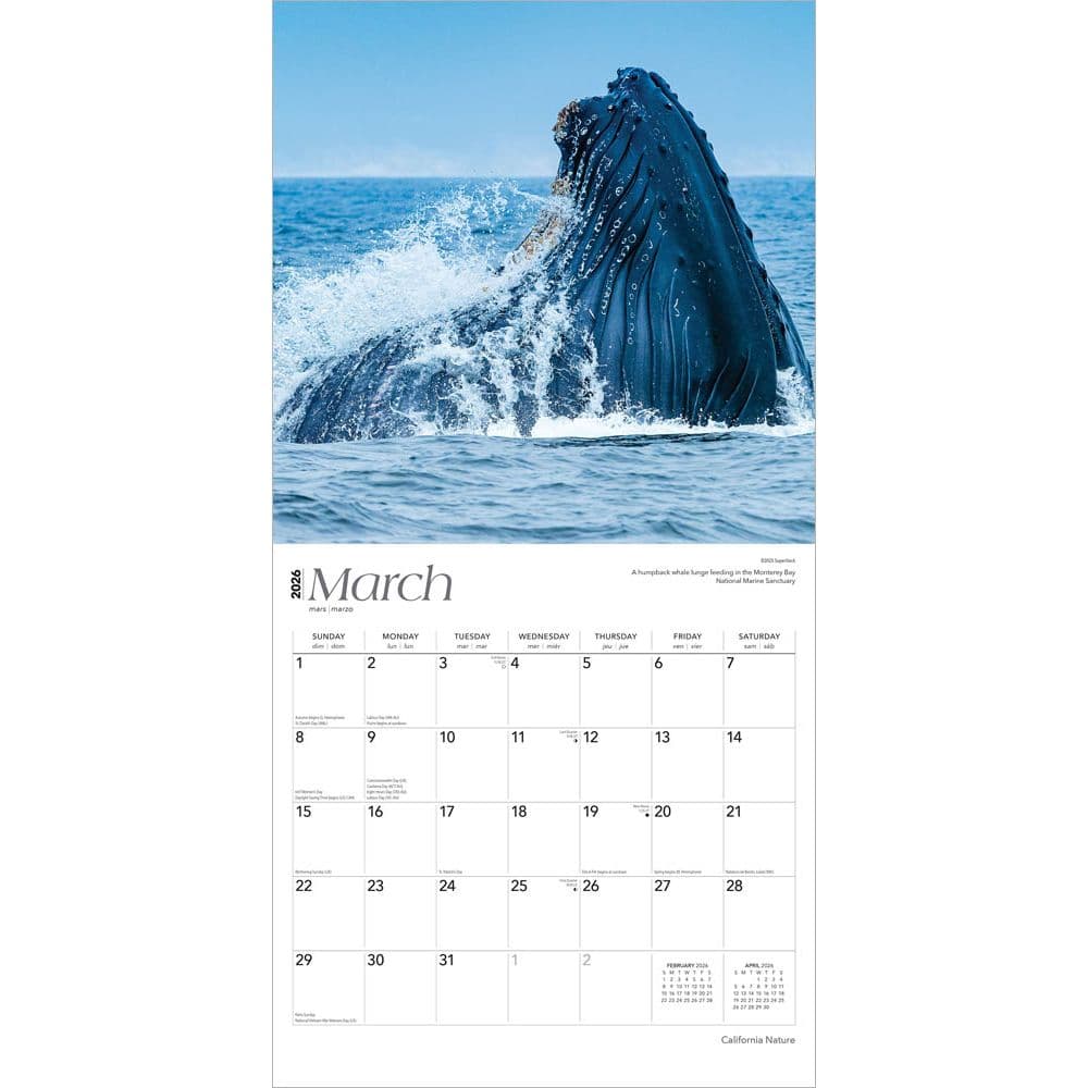  Second Alternate Image