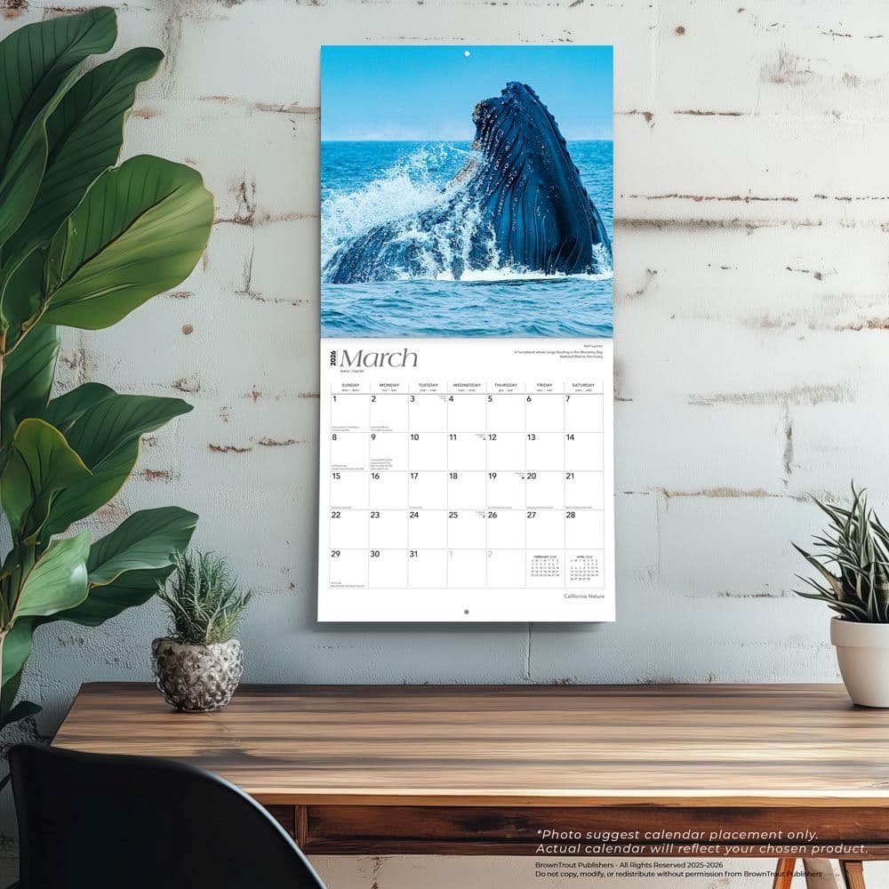  Fourth Alternate Image