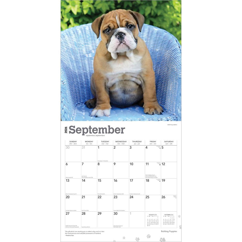  Third Alternate Image