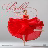 image  Main Product Image