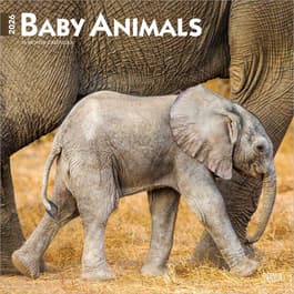 image  Main Product Image