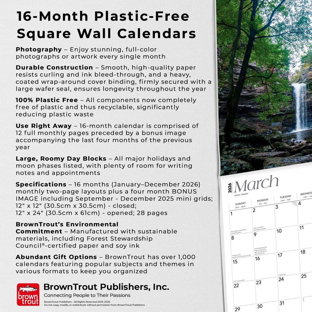  Fifth Alternate Image