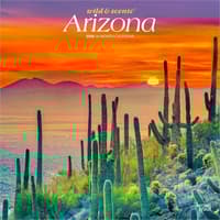 image  Main Product Image