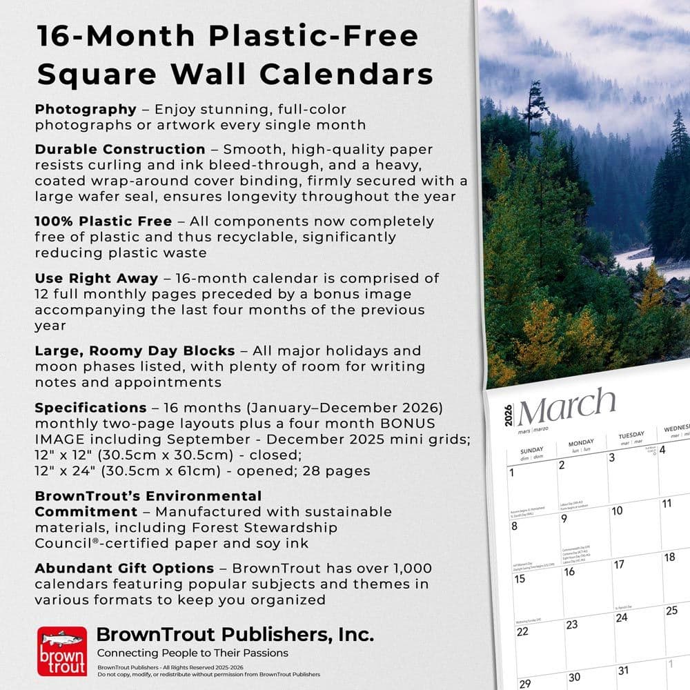  Fifth Alternate Image