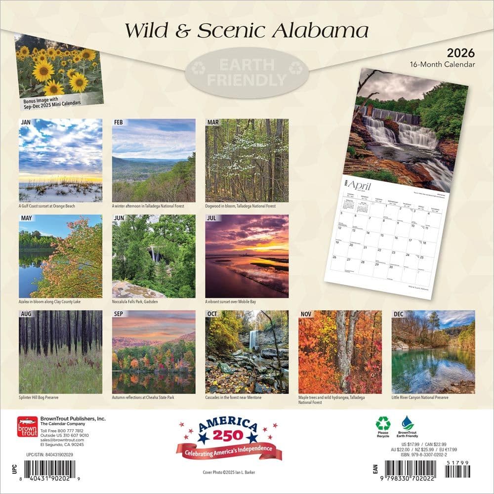  First Alternate Image