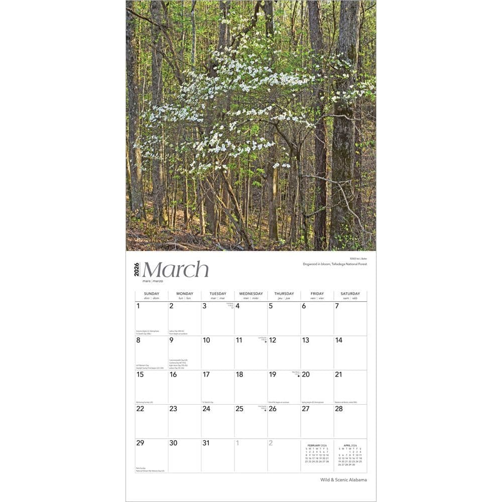  Second Alternate Image