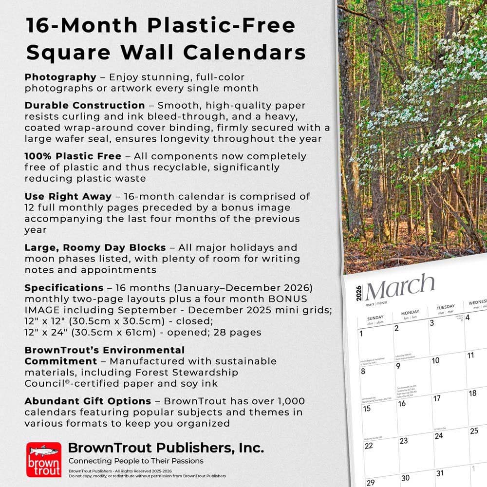  Fifth Alternate Image