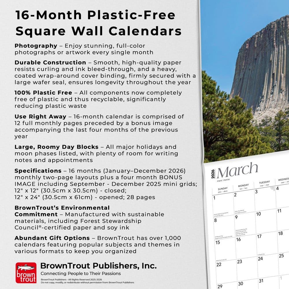  Fifth Alternate Image