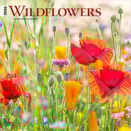 Wildflowers 2026 Wall Calendar