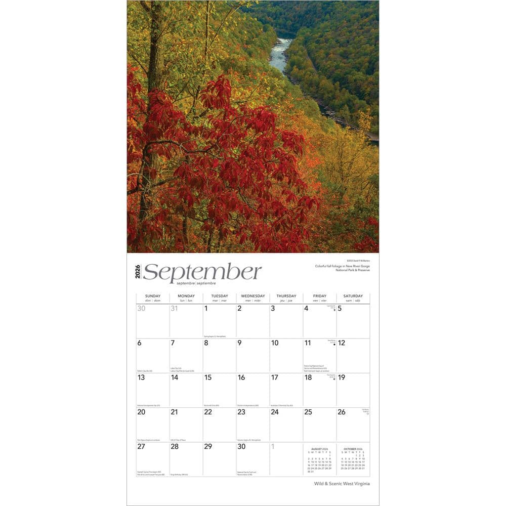  Third Alternate Image