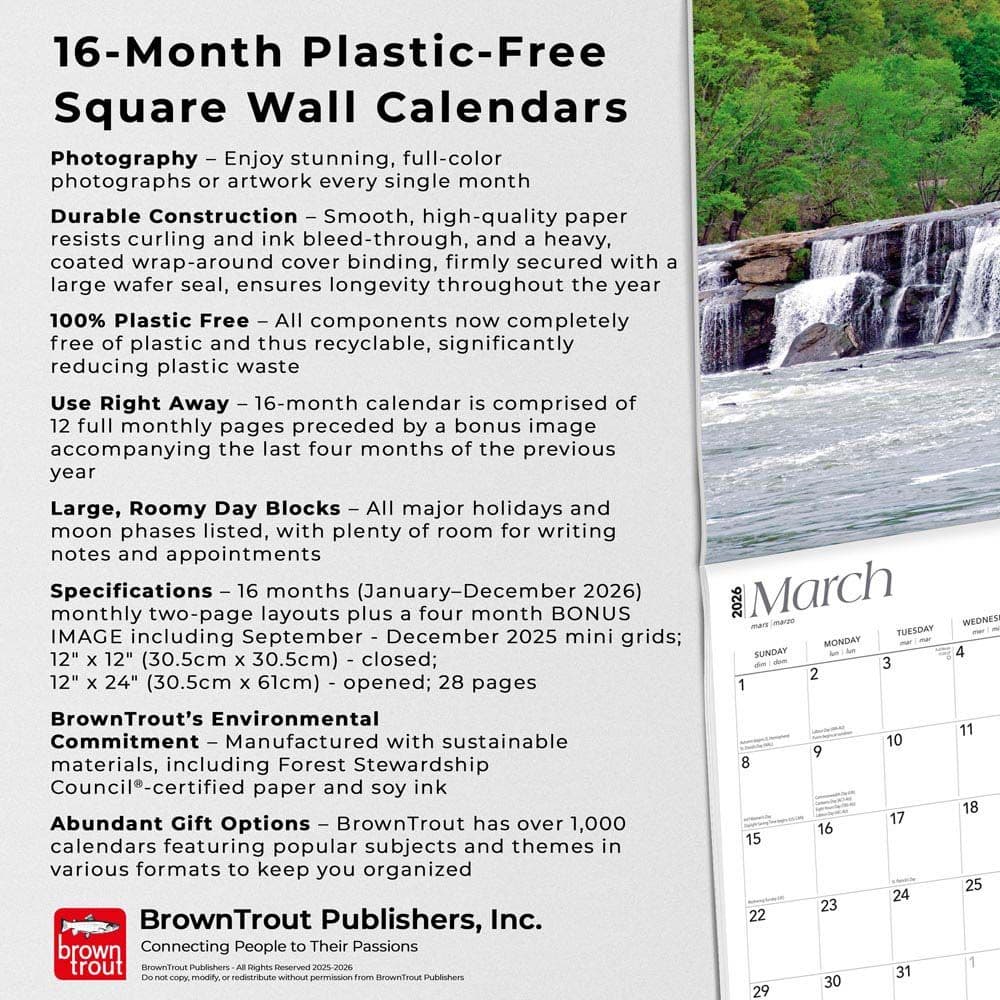  Fifth Alternate Image