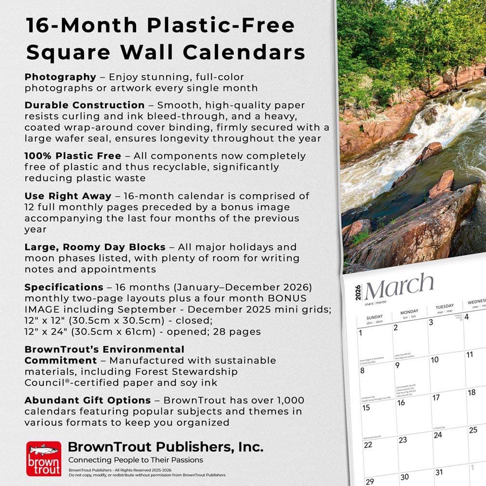  Fifth Alternate Image