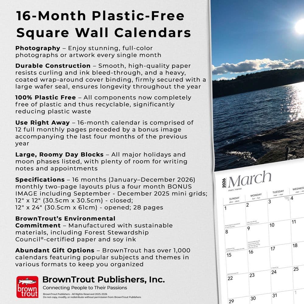  Fifth Alternate Image