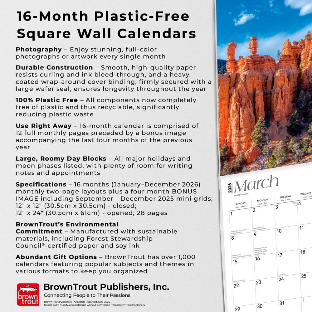  Fifth Alternate Image