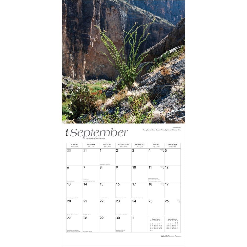  Third Alternate Image