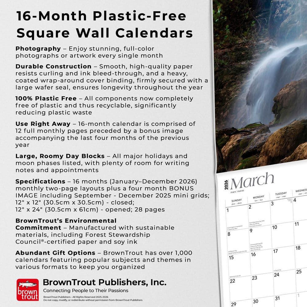  Fifth Alternate Image