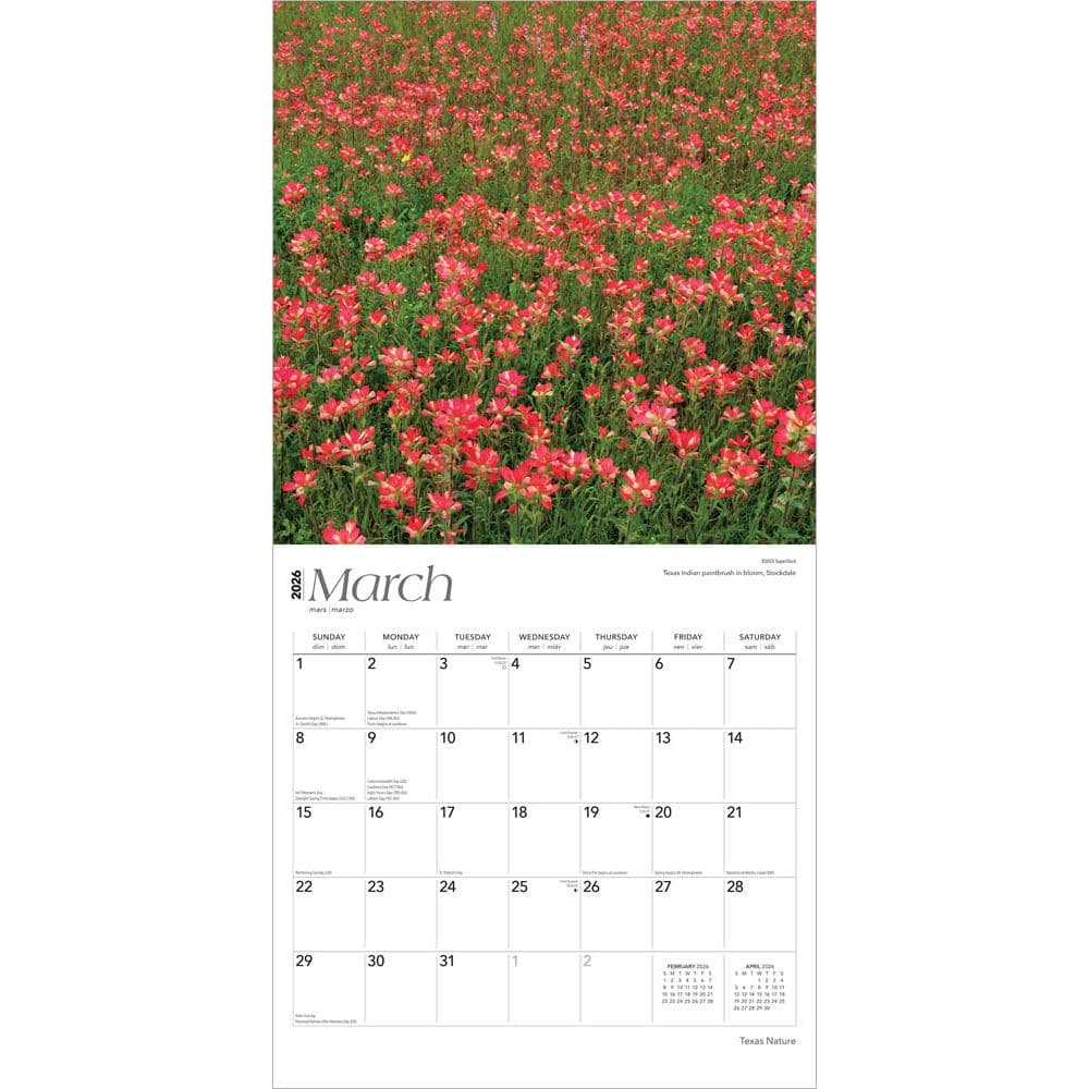  Second Alternate Image