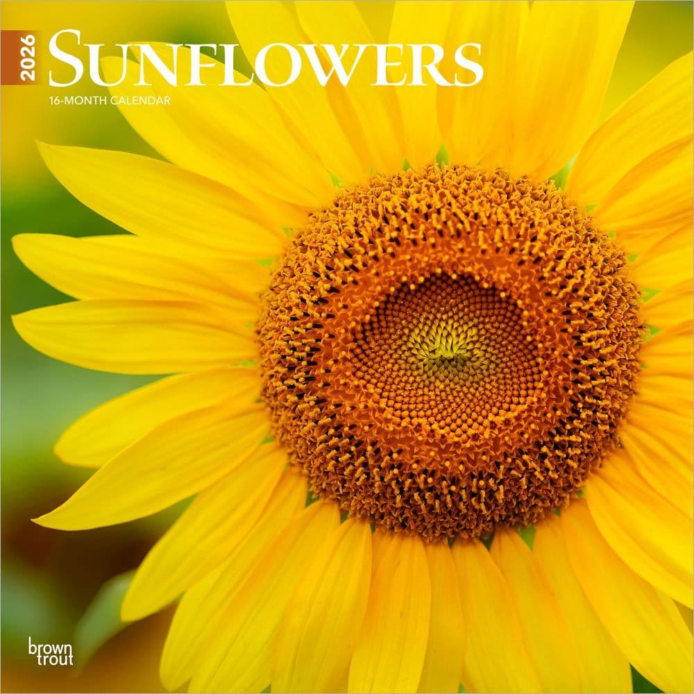 Sunflowers 2026 Wall Calendar Main Product Image