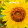 image Sunflowers 2026 Wall Calendar Main Product Image