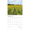 image Sunflowers 2026 Wall Calendar Second Alternate Image
