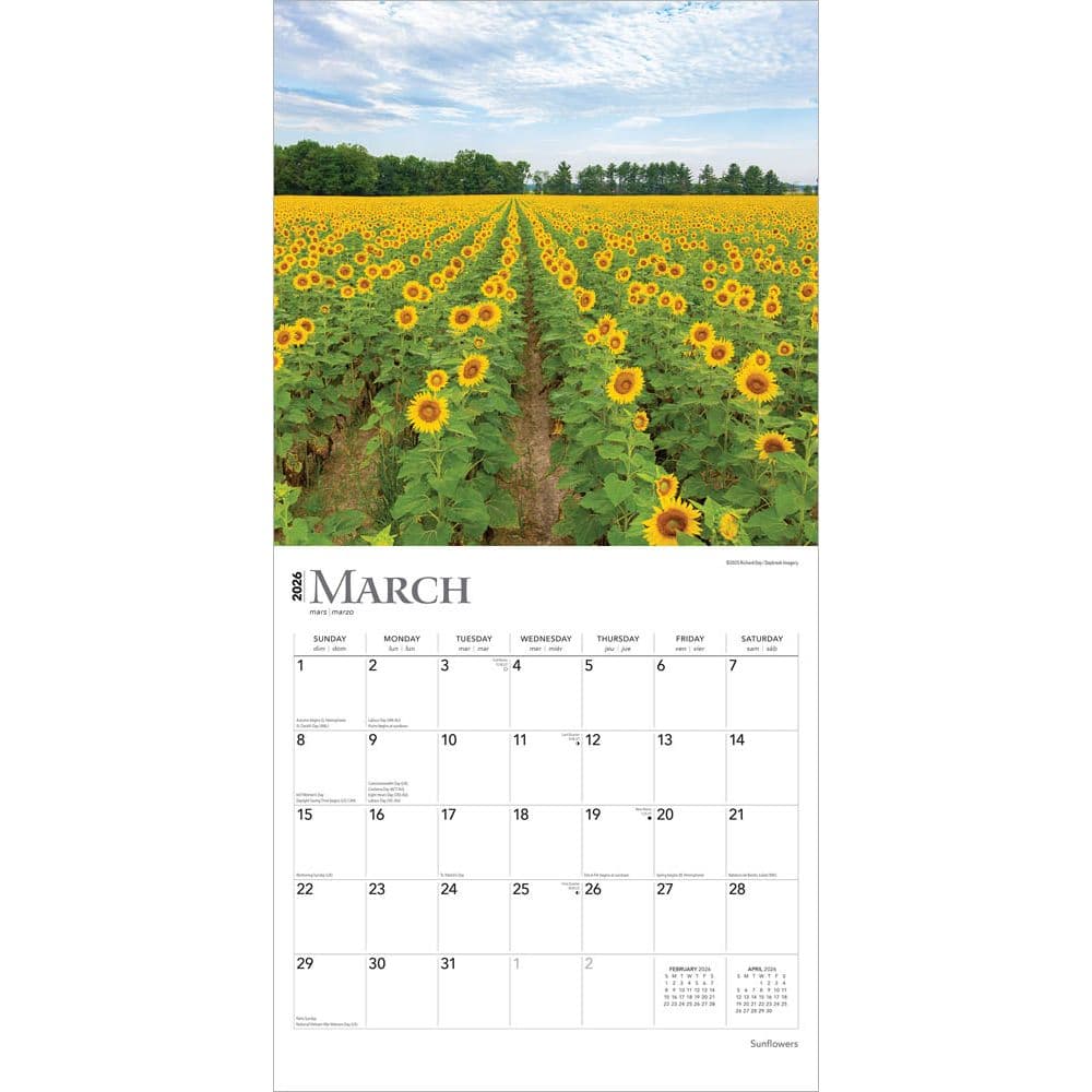 Sunflowers 2026 Wall Calendar Second Alternate Image