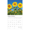 image Sunflowers 2026 Wall Calendar Third Alternate Image