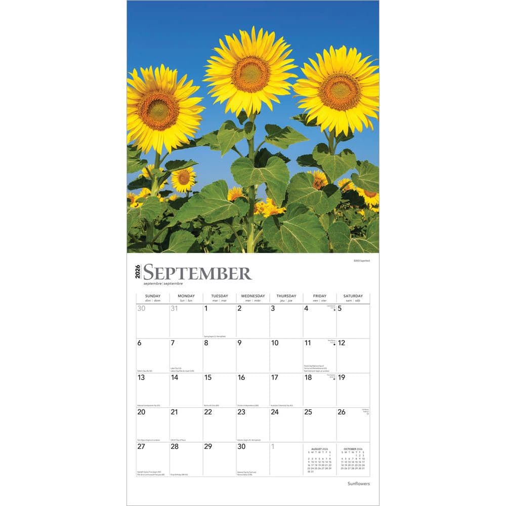 Sunflowers 2026 Wall Calendar Third Alternate Image