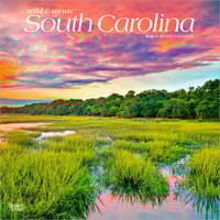 image South Carolina Wild and Scenic 2026 Wall Calendar Main Product Image