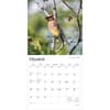 image Songbirds Square 2026 Wall Calendar Second Alternate Image