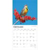 image Songbirds Square 2026 Wall Calendar Third Alternate Image