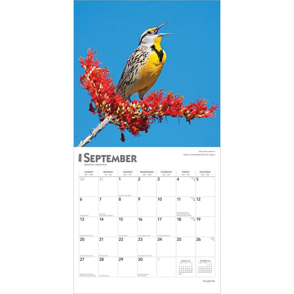 Songbirds Square 2026 Wall Calendar Third Alternate Image