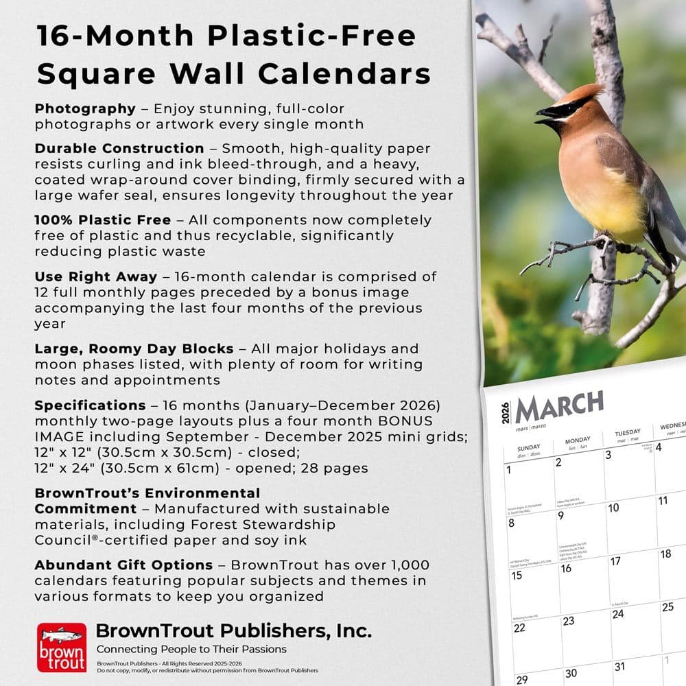 Songbirds Square 2026 Wall Calendar Fifth Alternate Image